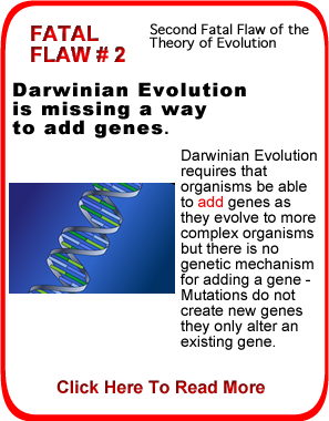 Darwinian Evolution Is Missing A Mechanism To Add Genes