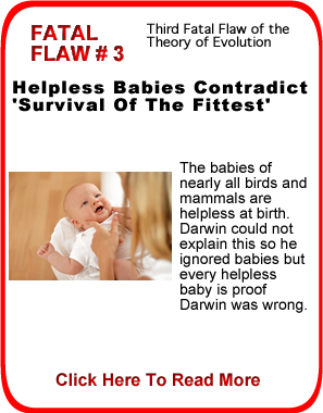 Helpless Babies Contradict Survival Of The Fittest